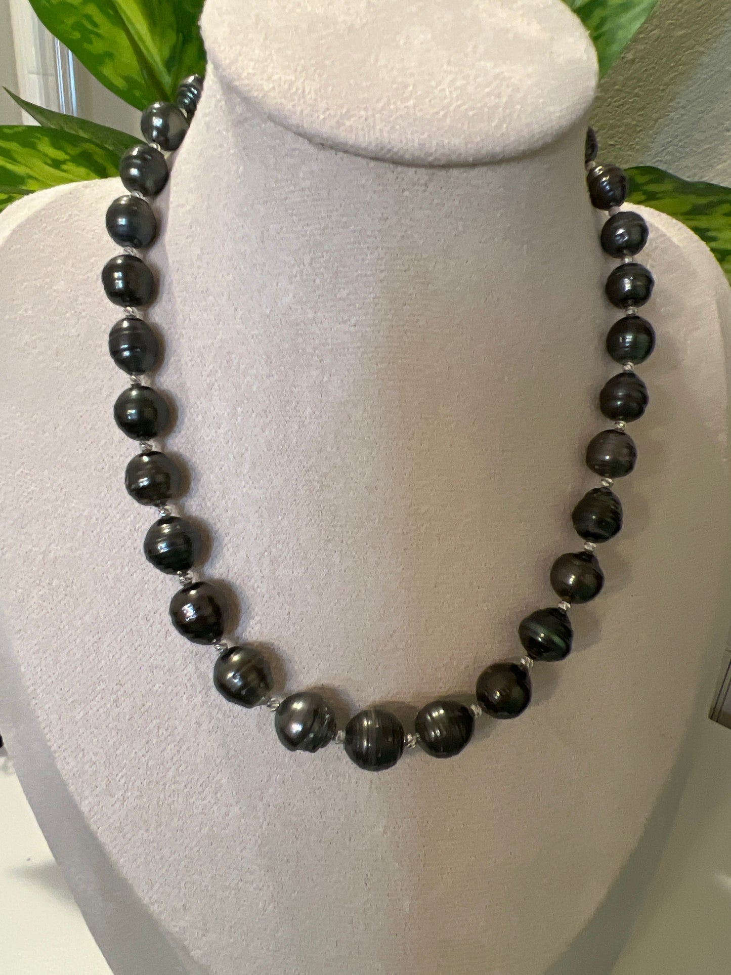 Ringed Tahitian necklace