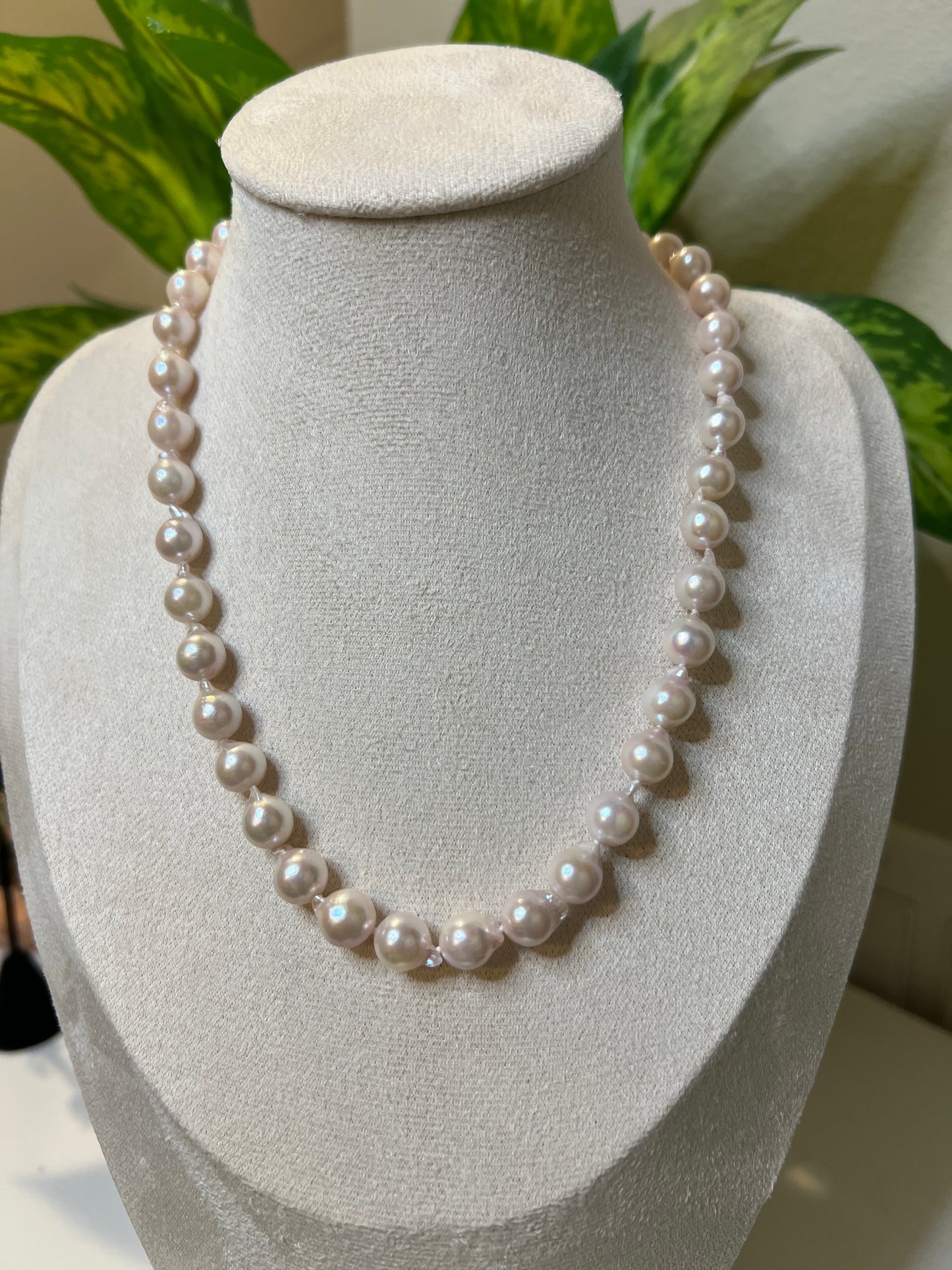 Pinky akoya strand