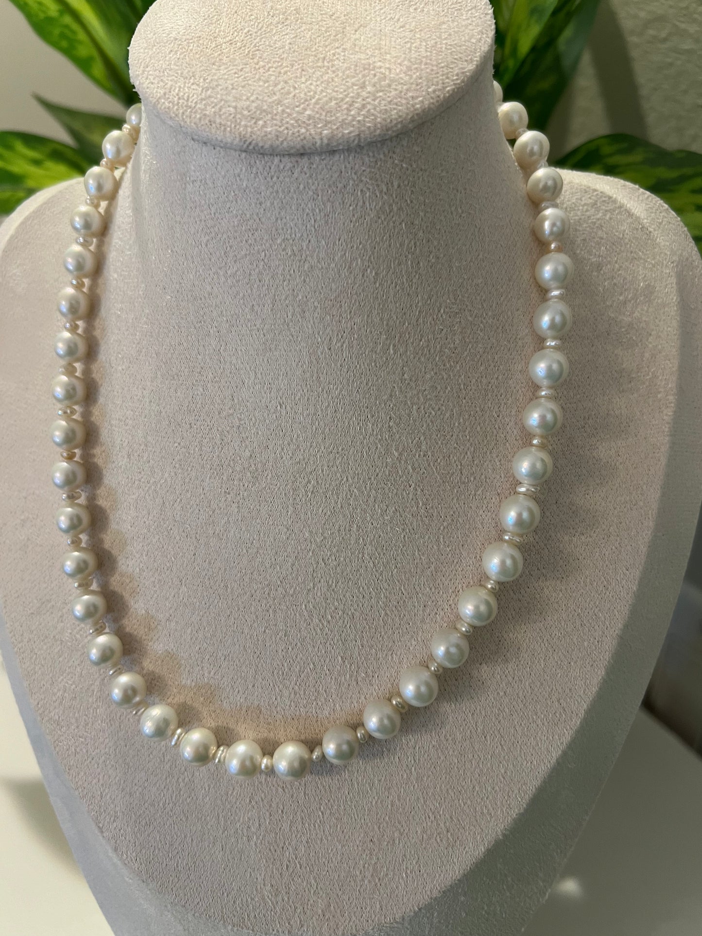 White seedless strand