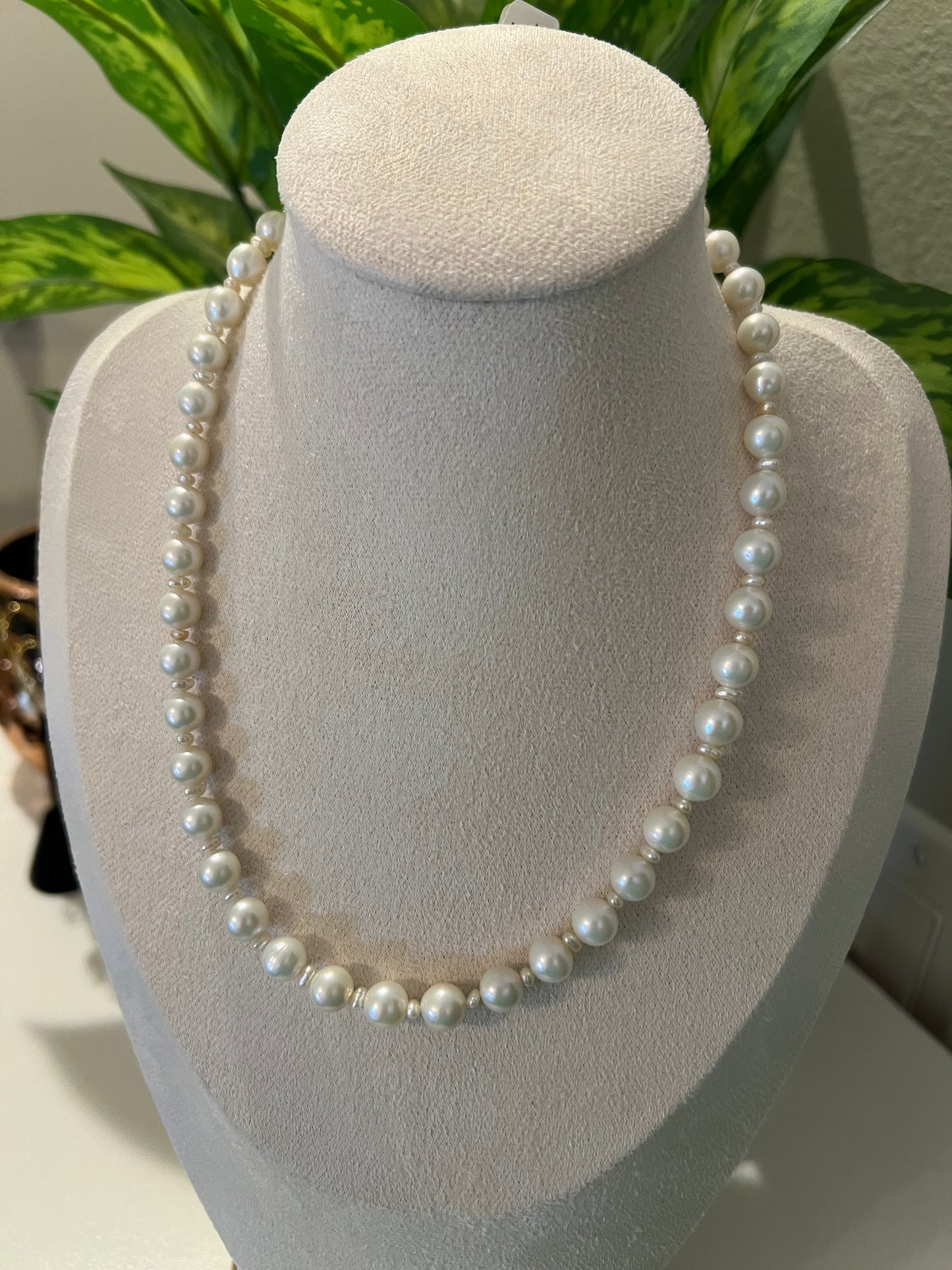White seedless strand