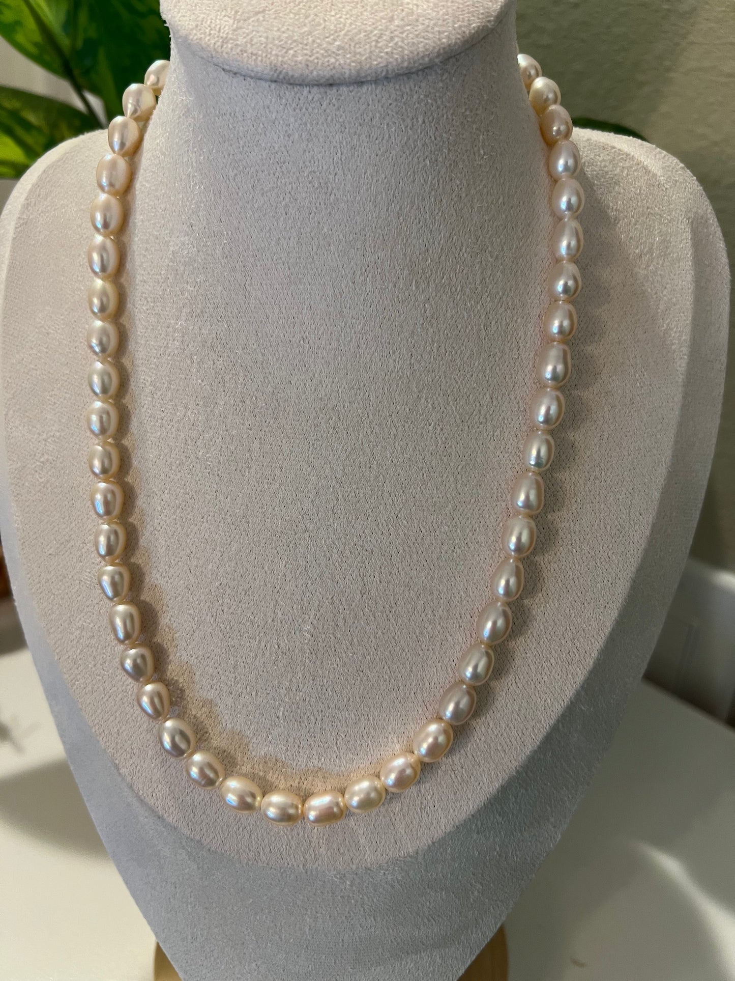 Champagne seedless strand