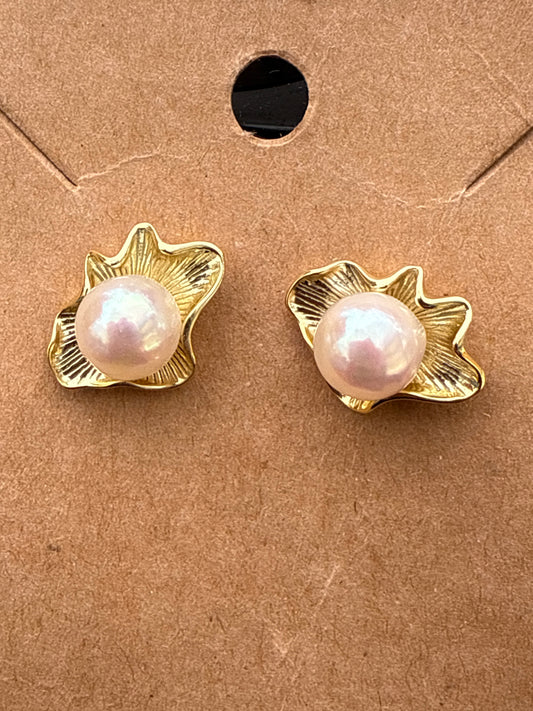 Pink saltwater akoya earrings