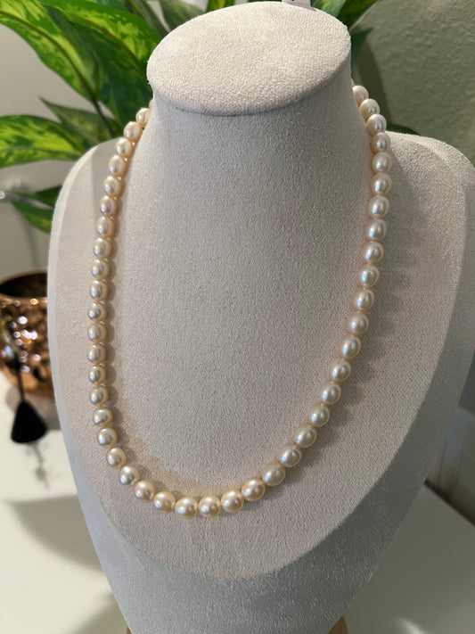 Seedless champagne strand